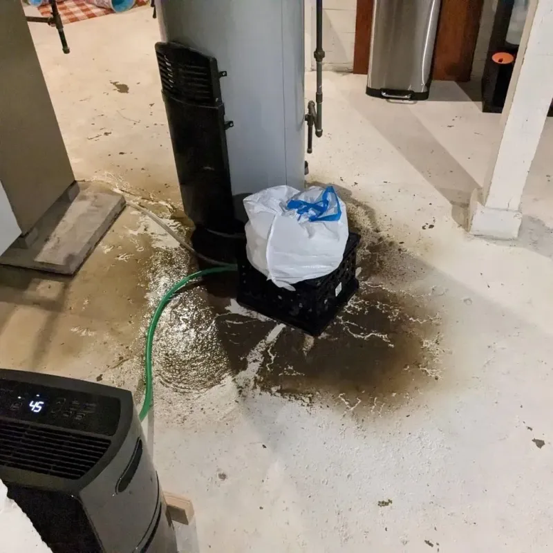 Sewage Backup Cleanup Service in Hayfork, CA